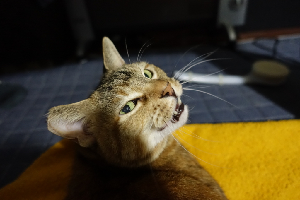 f:id:shigeo-t:20180220102529j:plain