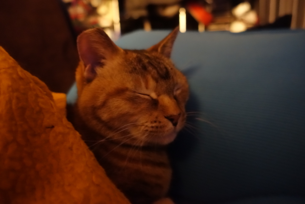 f:id:shigeo-t:20180220102832j:plain