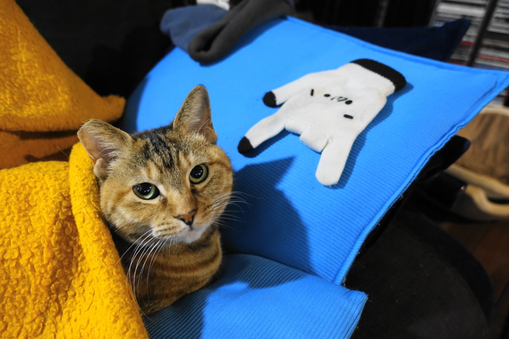 f:id:shigeo-t:20180220103019j:plain