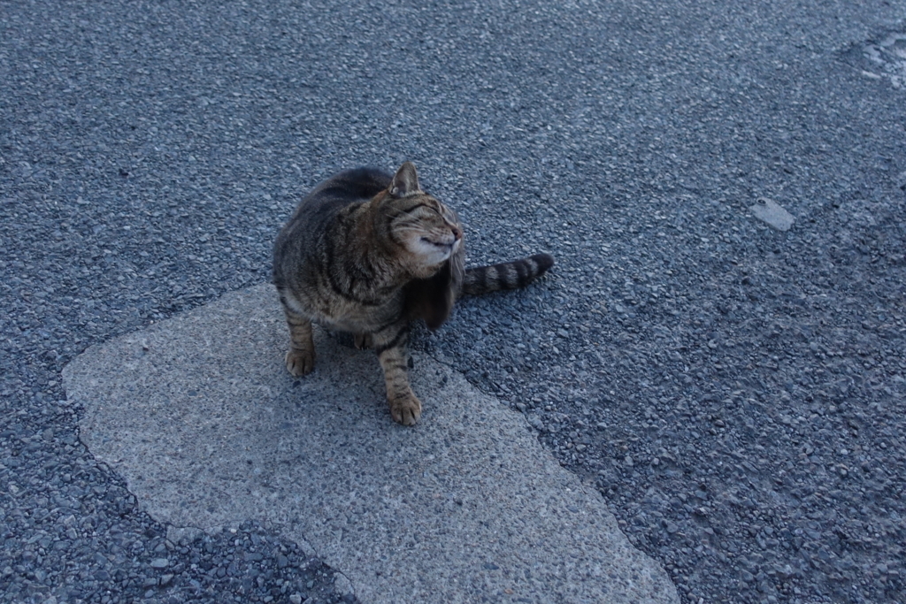 f:id:shigeo-t:20180225110330j:plain