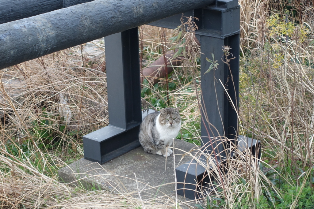 f:id:shigeo-t:20180302100156j:plain f:id:shigeo-t:20180302100156j:plain