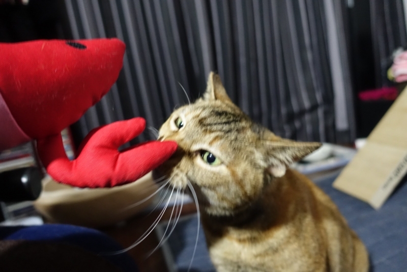 f:id:shigeo-t:20180311035556j:plain