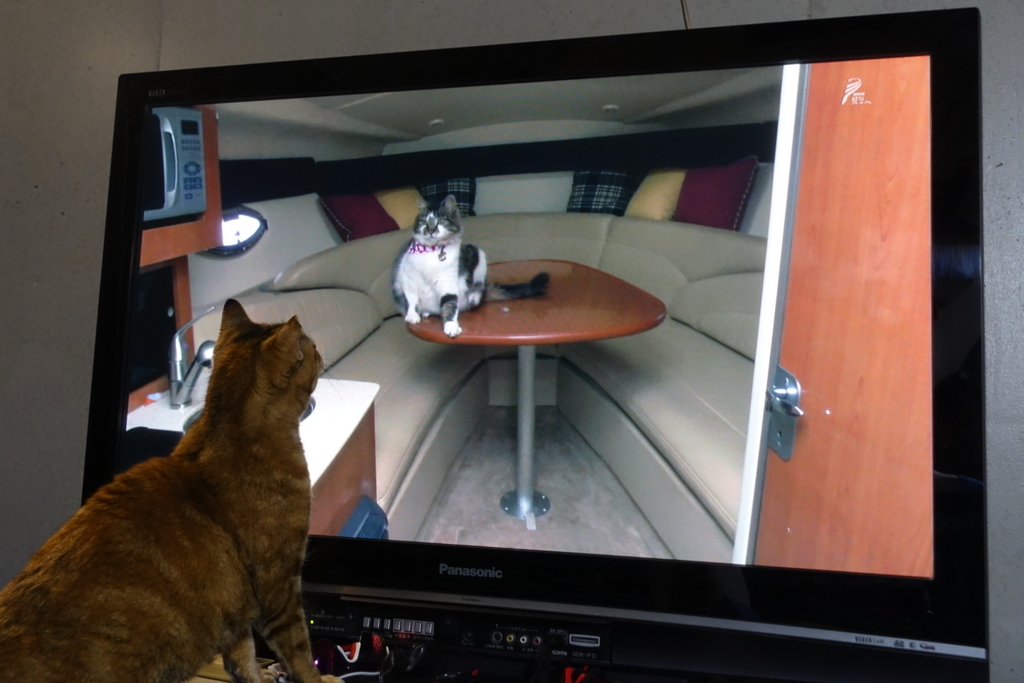 f:id:shigeo-t:20180319101845j:plain f:id:shigeo-t:20180319101845j:plain