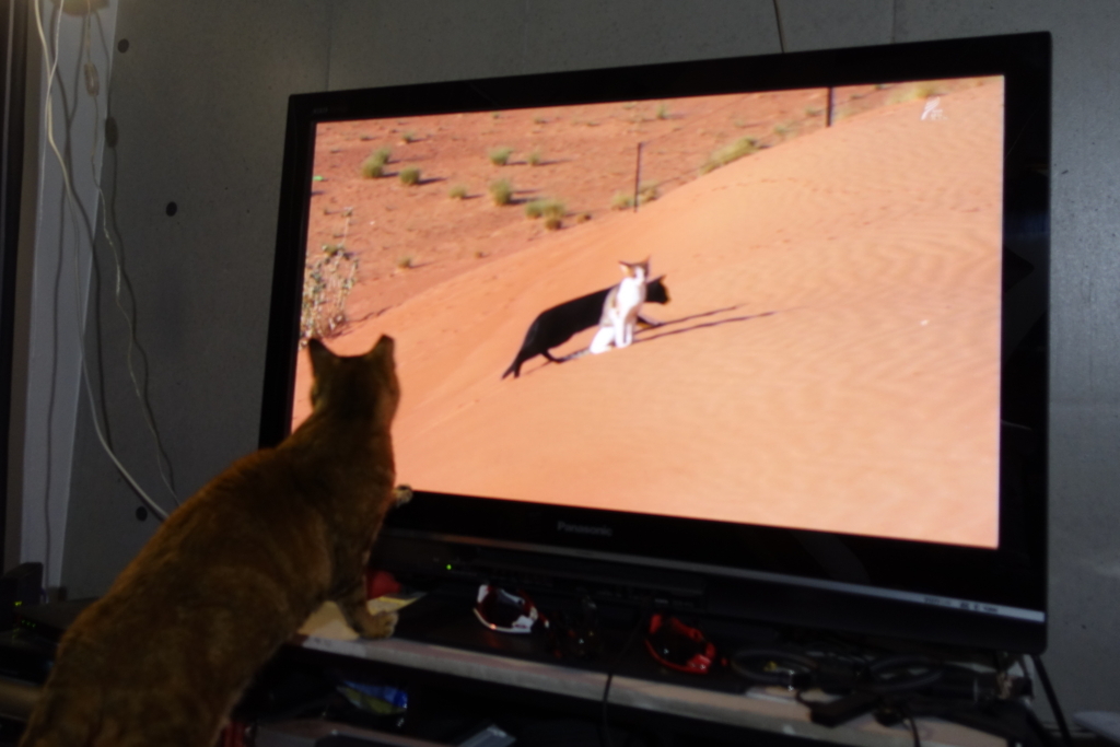 f:id:shigeo-t:20180319103159j:plain f:id:shigeo-t:20180319103159j:plain