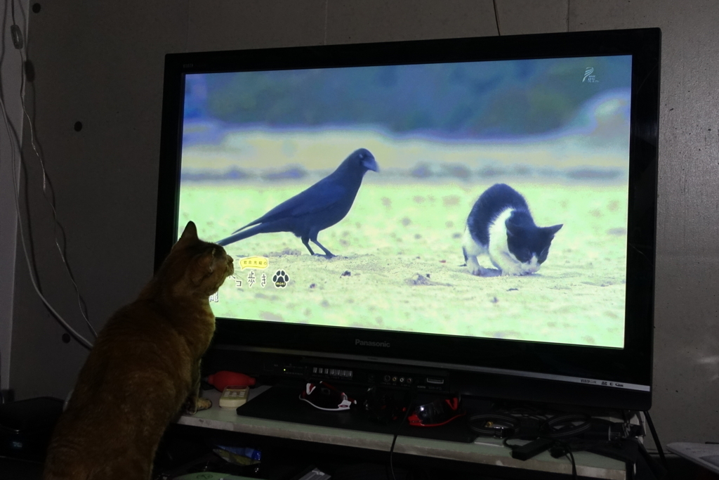 f:id:shigeo-t:20180319103706j:plain f:id:shigeo-t:20180319103706j:plain