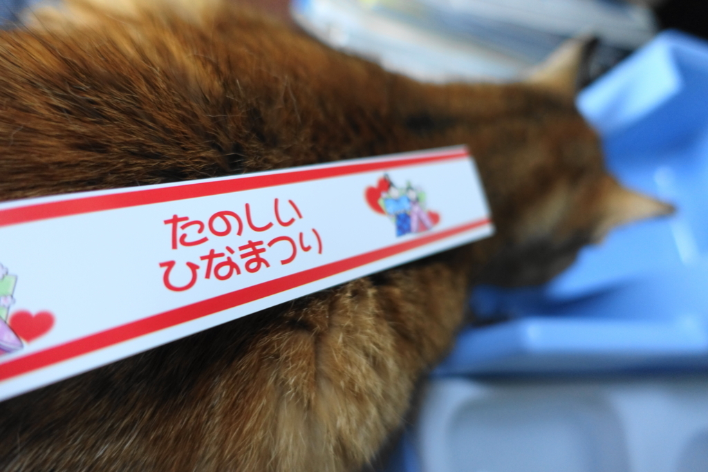 f:id:shigeo-t:20180319104452j:plain f:id:shigeo-t:20180319104452j:plain