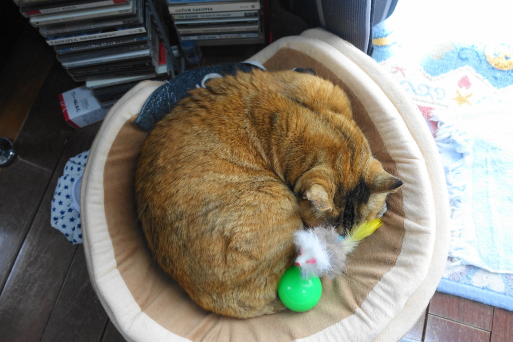 f:id:shigeo-t:20180322094913j:plain f:id:shigeo-t:20180322094913j:plain