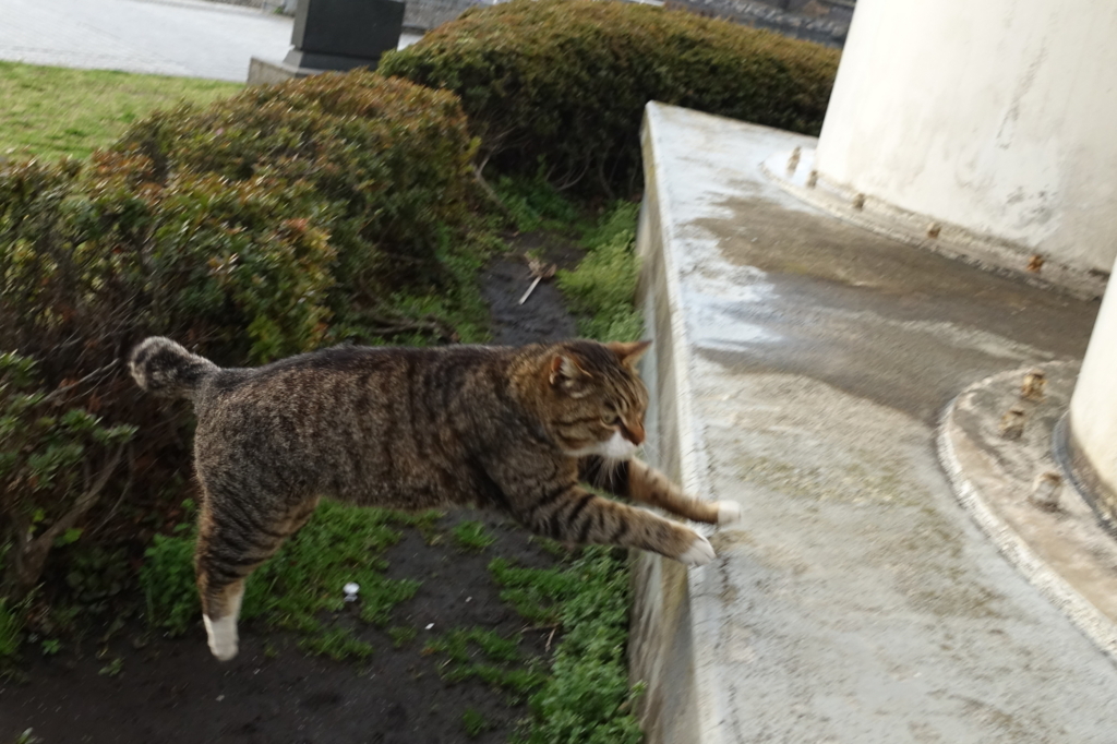 f:id:shigeo-t:20180331110900j:plain