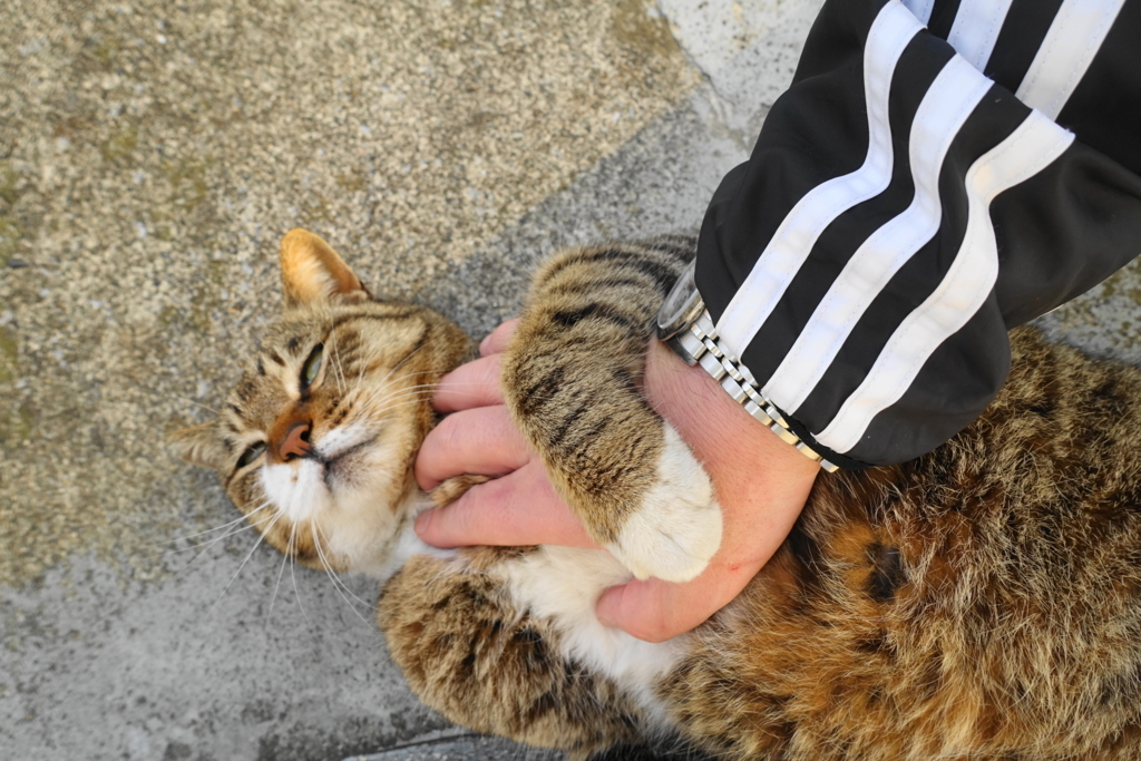 f:id:shigeo-t:20180331111202j:plain