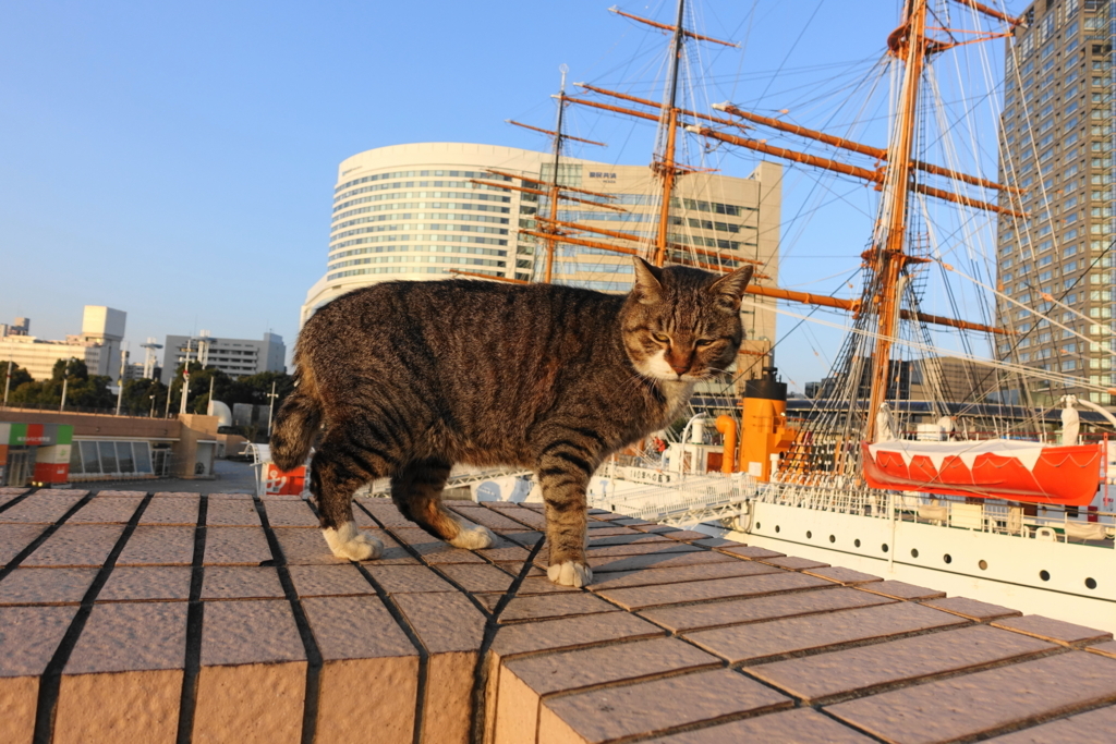 f:id:shigeo-t:20180402095314j:plain f:id:shigeo-t:20180402095314j:plain