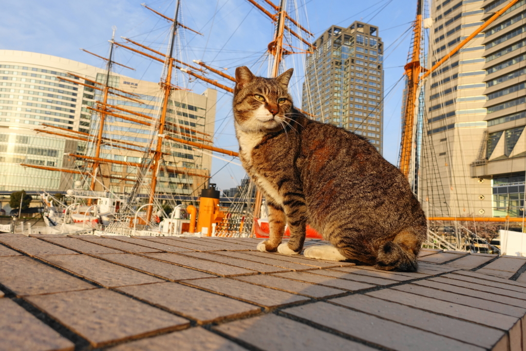 f:id:shigeo-t:20180402100450j:plain f:id:shigeo-t:20180402100450j:plain