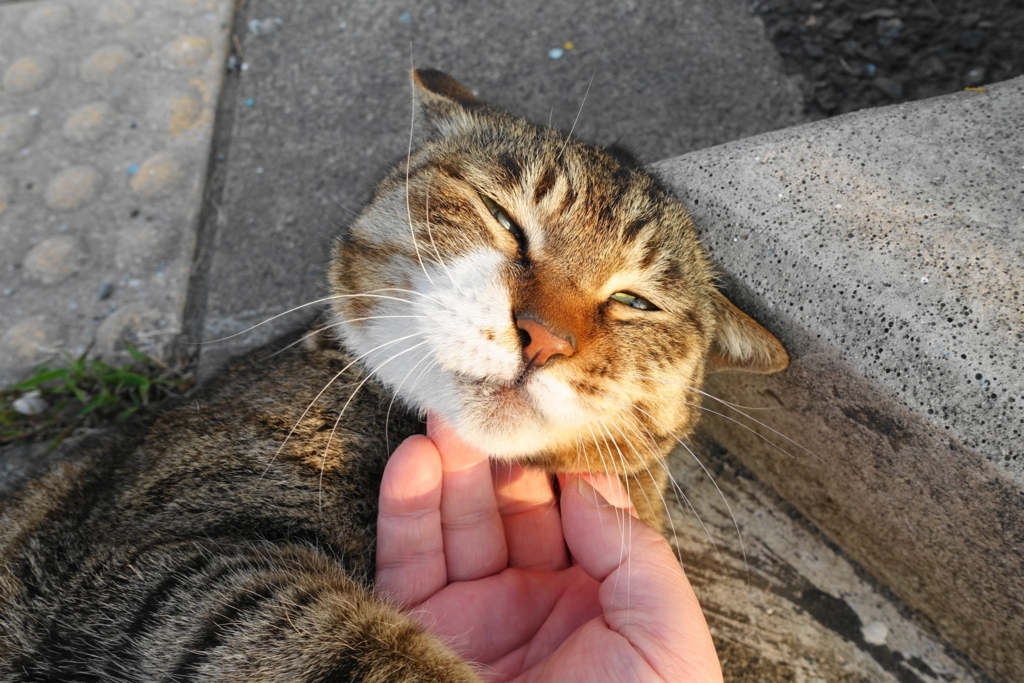f:id:shigeo-t:20180403101609j:plain