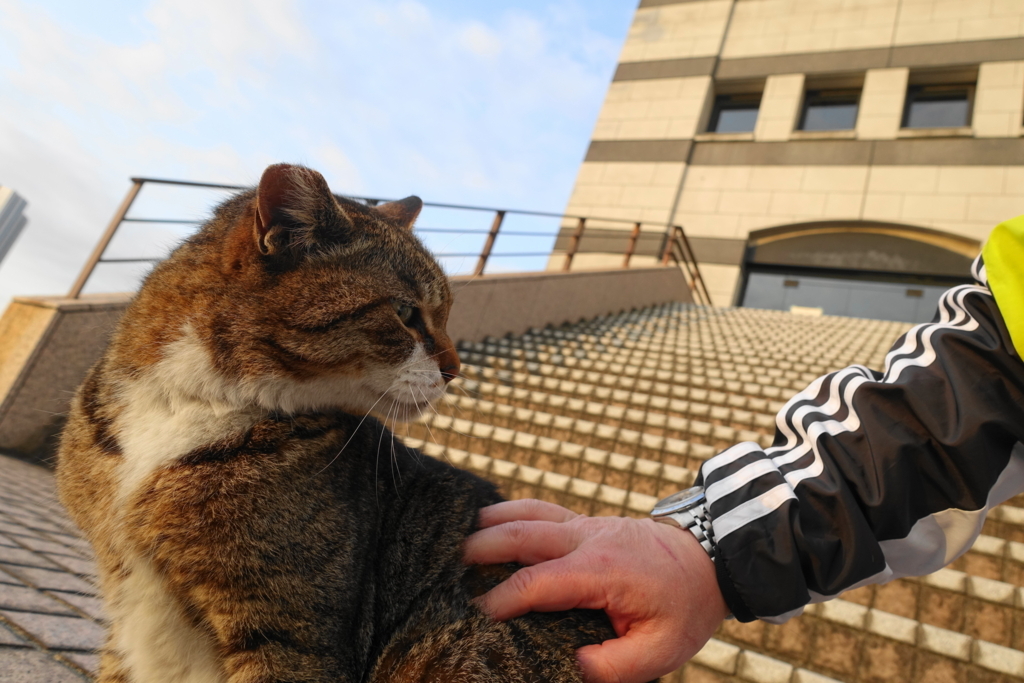 f:id:shigeo-t:20180403102341j:plain
