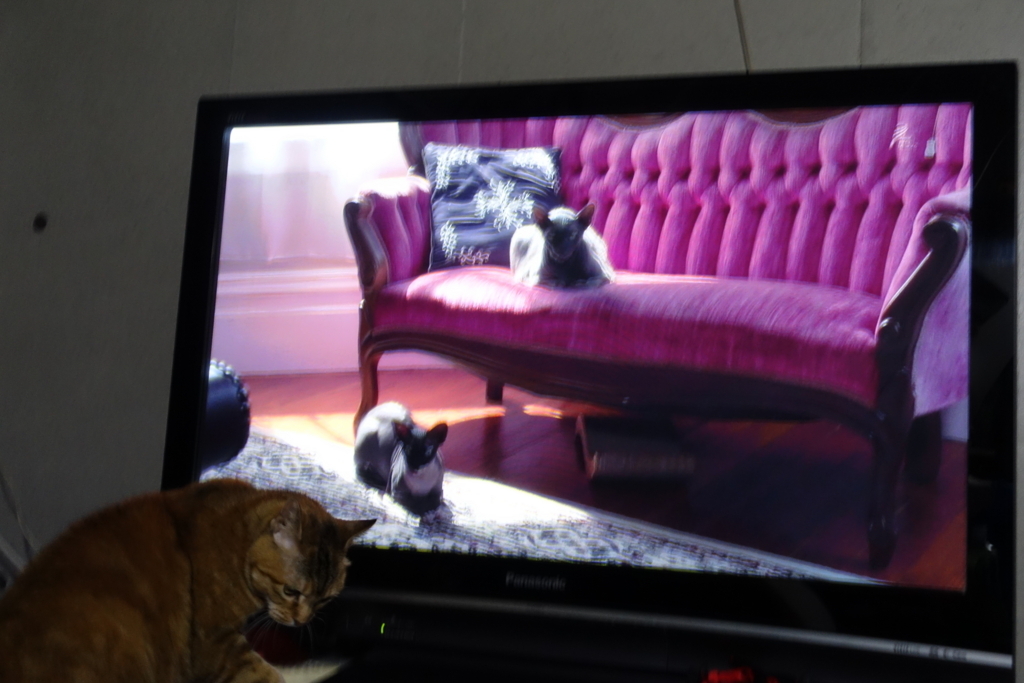 f:id:shigeo-t:20180406102047j:plain