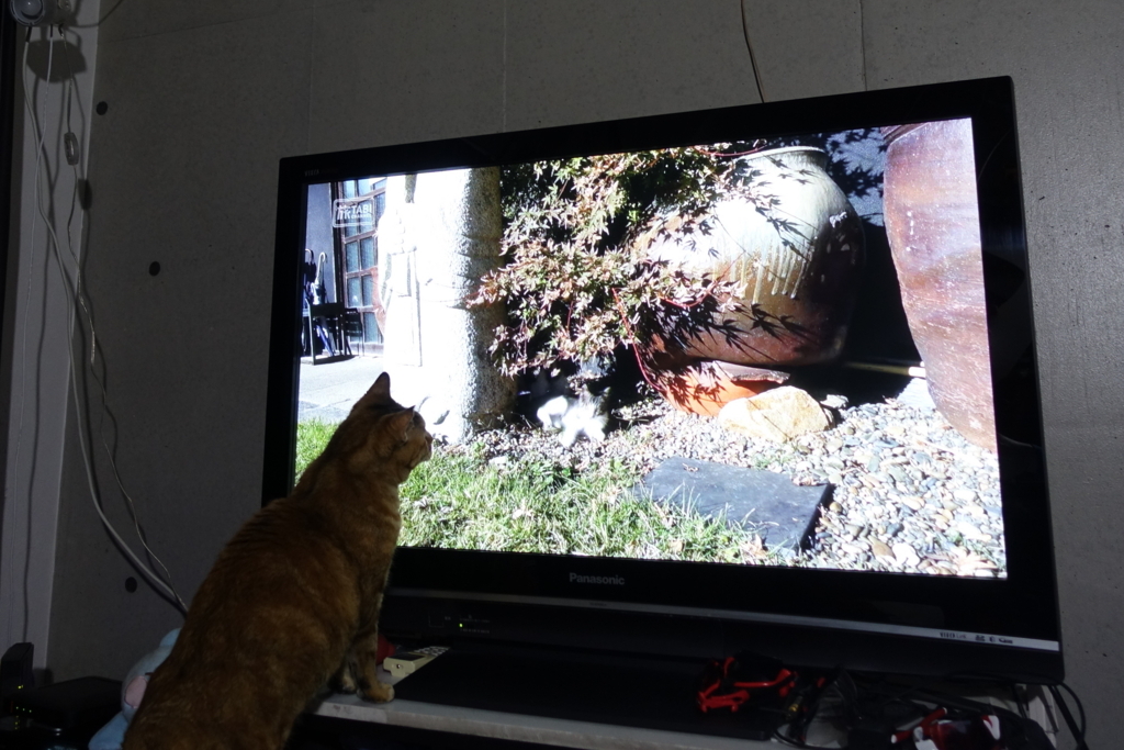 f:id:shigeo-t:20180406102320j:plain