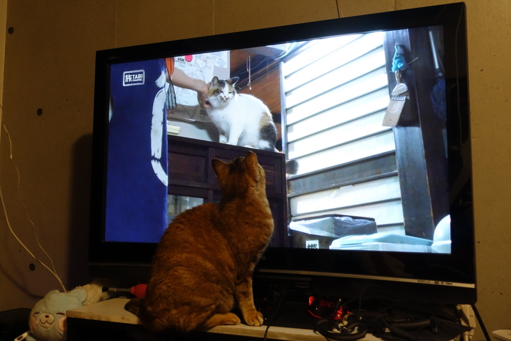 f:id:shigeo-t:20180406102520j:plain