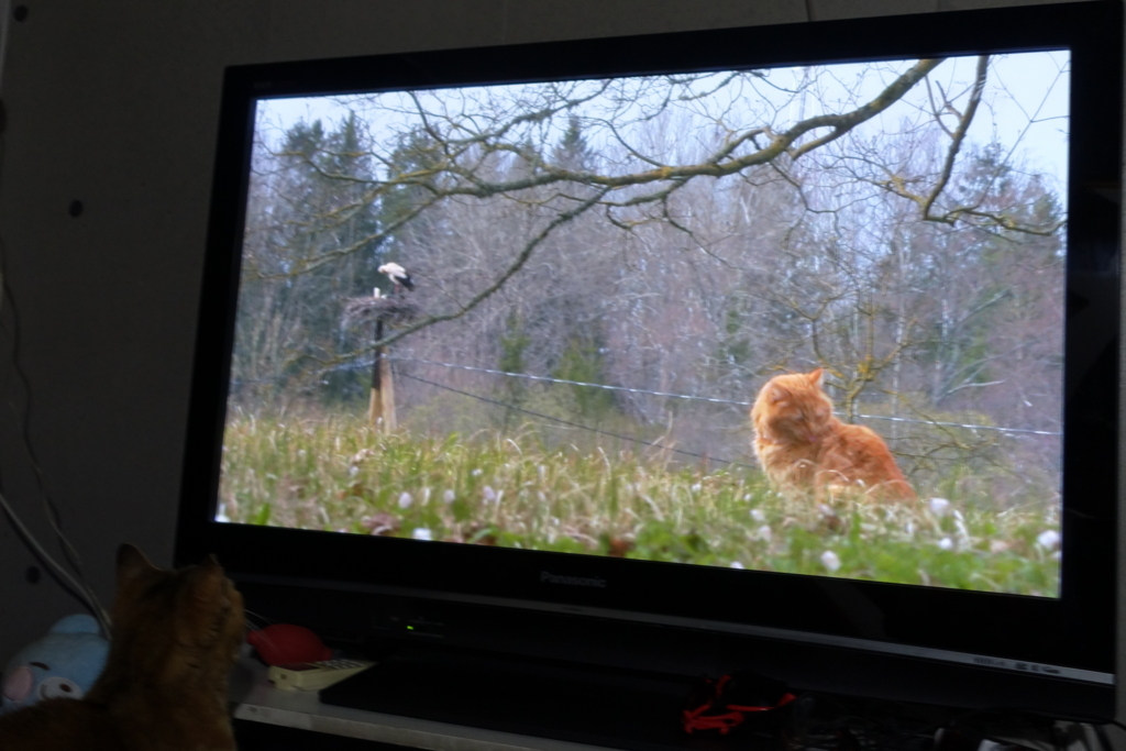 f:id:shigeo-t:20180406103605j:plain