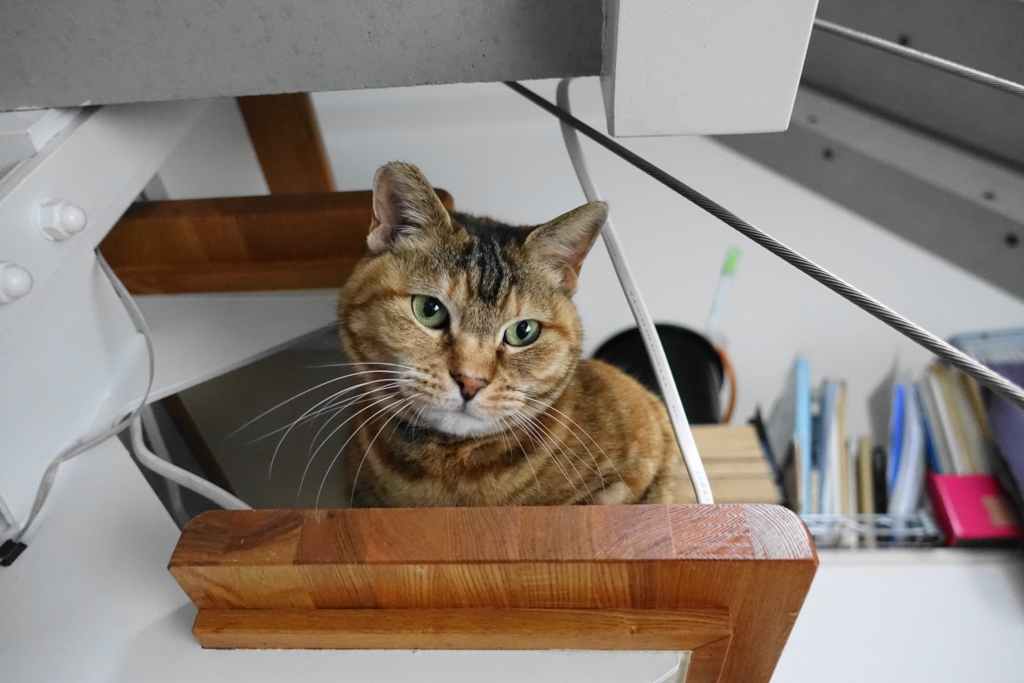 f:id:shigeo-t:20180407103250j:plain
