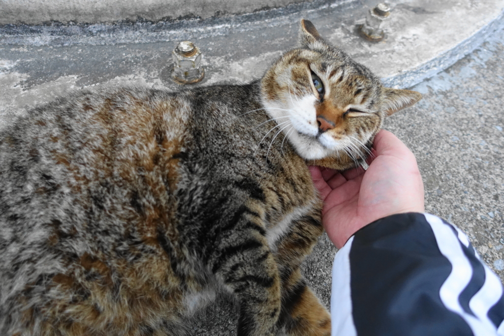 f:id:shigeo-t:20180416094409j:plain f:id:shigeo-t:20180416094409j:plain