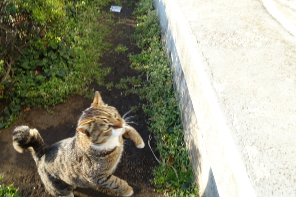 f:id:shigeo-t:20180416104023j:plain f:id:shigeo-t:20180416104023j:plain