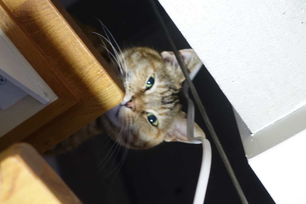 f:id:shigeo-t:20180421115342j:plain f:id:shigeo-t:20180421115342j:plain