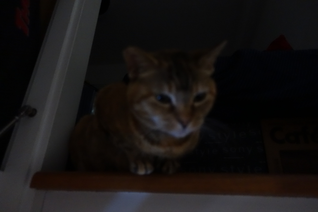 f:id:shigeo-t:20180421115447j:plain f:id:shigeo-t:20180421115447j:plain