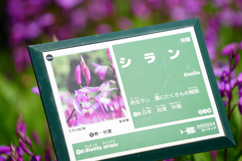 f:id:shigeo-t:20180429154235j:plain