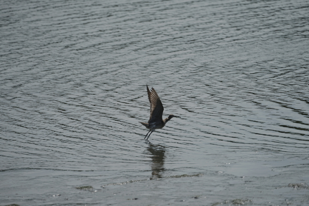 f:id:shigeo-t:20180430123347j:plain f:id:shigeo-t:20180430123347j:plain