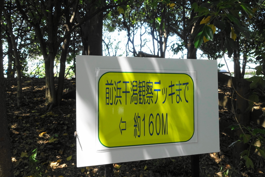 f:id:shigeo-t:20180430124641j:plain f:id:shigeo-t:20180430124641j:plain