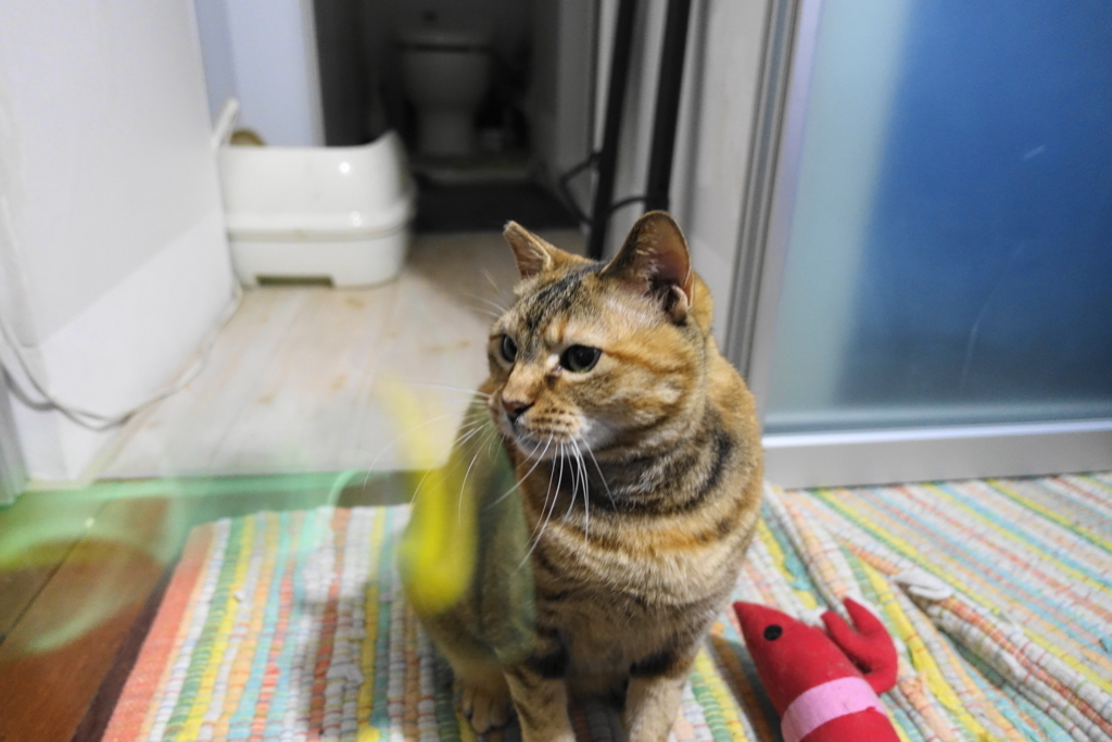 f:id:shigeo-t:20180503103732j:plain