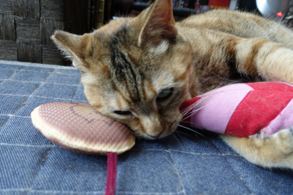 f:id:shigeo-t:20180508100206j:plain