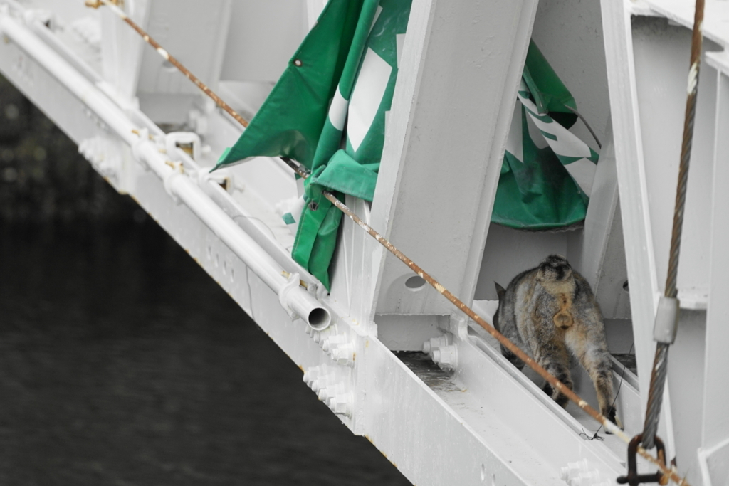 f:id:shigeo-t:20180516110500j:plain f:id:shigeo-t:20180516110500j:plain