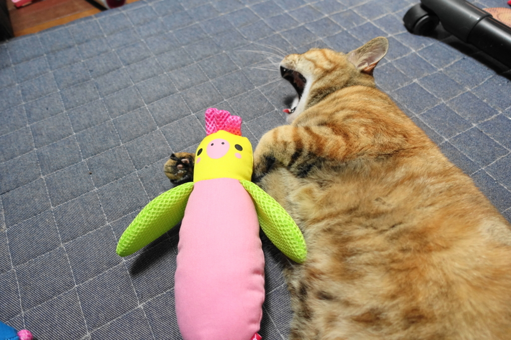 f:id:shigeo-t:20180527103532j:plain