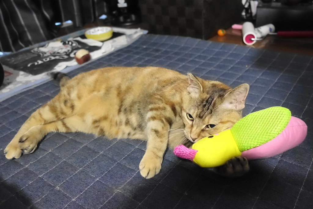 f:id:shigeo-t:20180527104939j:plain