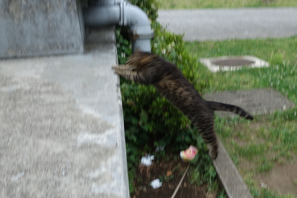 f:id:shigeo-t:20180531111929j:plain f:id:shigeo-t:20180531111929j:plain