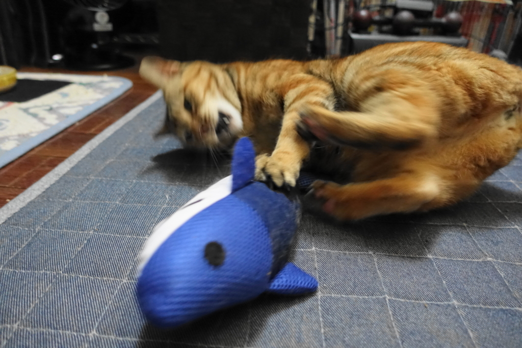 f:id:shigeo-t:20180609100113j:plain f:id:shigeo-t:20180609100113j:plain