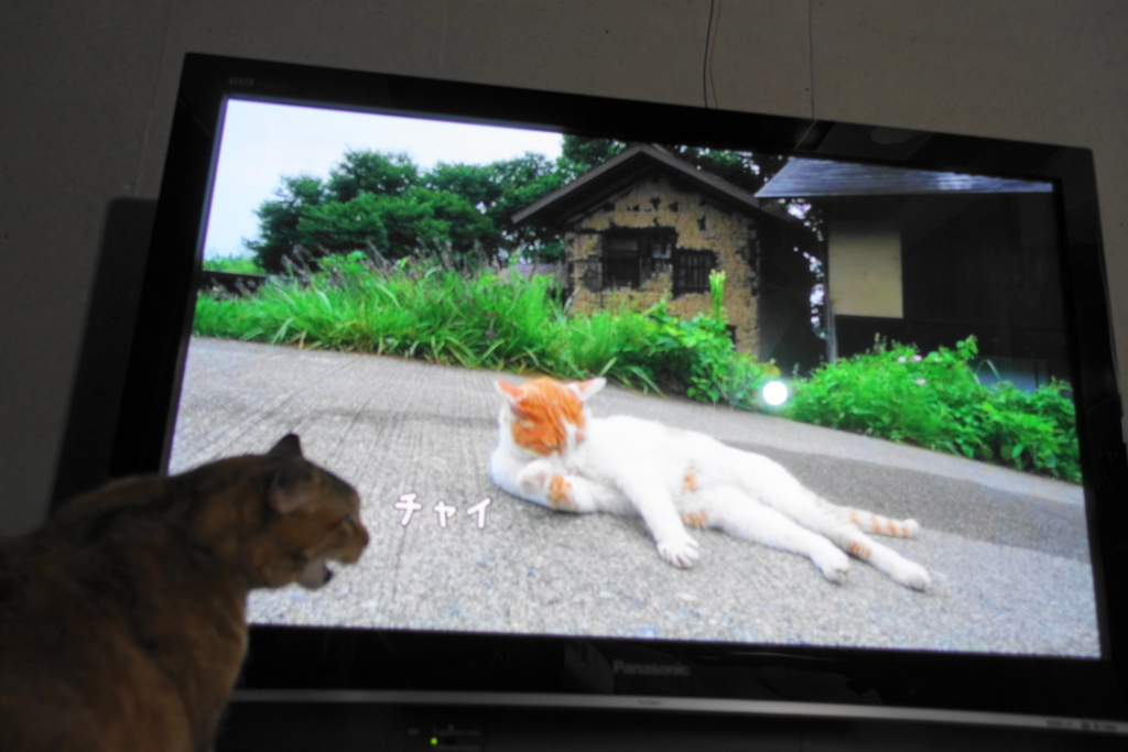 f:id:shigeo-t:20180618105609j:plain f:id:shigeo-t:20180618105609j:plain