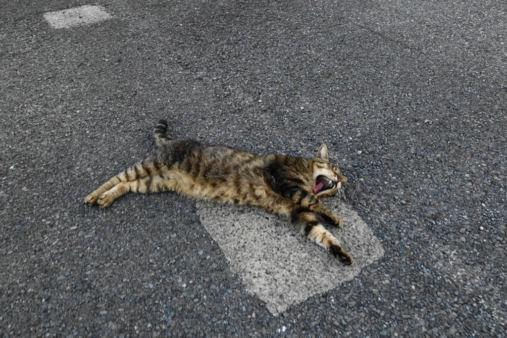 f:id:shigeo-t:20180701101414j:plain f:id:shigeo-t:20180701101414j:plain
