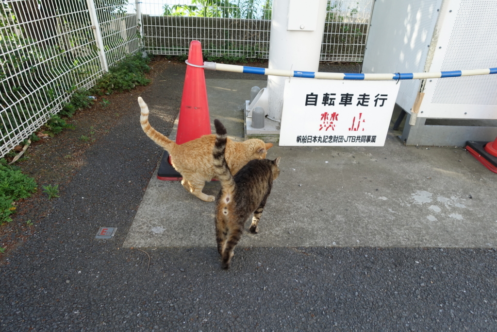 f:id:shigeo-t:20180701101725j:plain f:id:shigeo-t:20180701101725j:plain