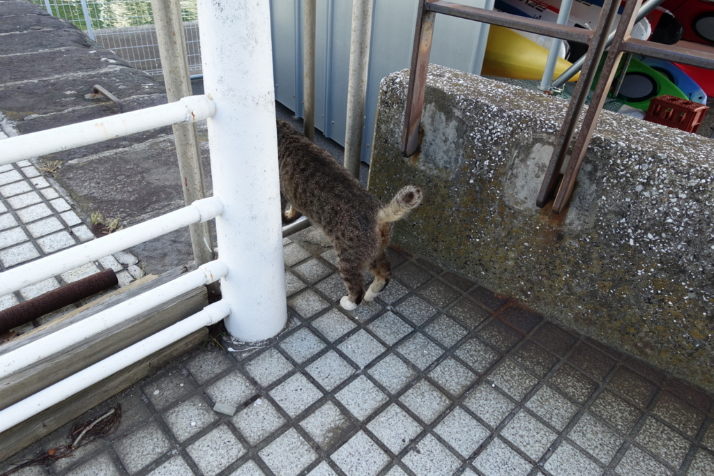 f:id:shigeo-t:20180701102516j:plain f:id:shigeo-t:20180701102516j:plain