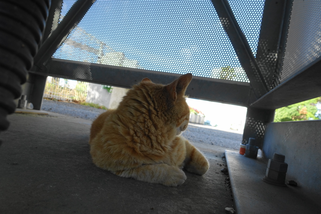 f:id:shigeo-t:20180701103741j:plain f:id:shigeo-t:20180701103741j:plain