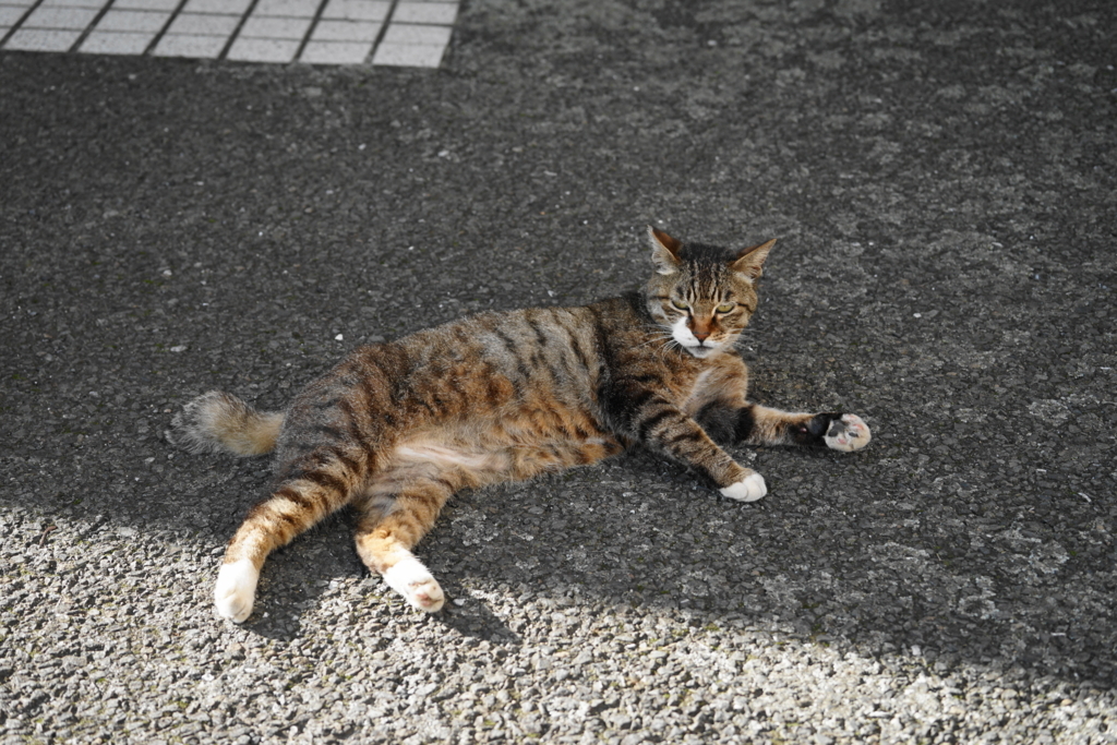 f:id:shigeo-t:20180701103930j:plain f:id:shigeo-t:20180701103930j:plain