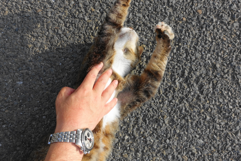 f:id:shigeo-t:20180712084207j:plain f:id:shigeo-t:20180712084207j:plain