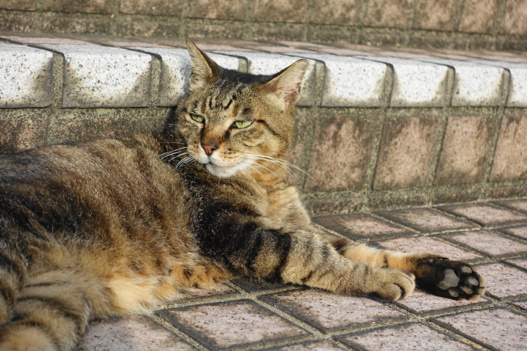 f:id:shigeo-t:20180712085043j:plain f:id:shigeo-t:20180712085043j:plain