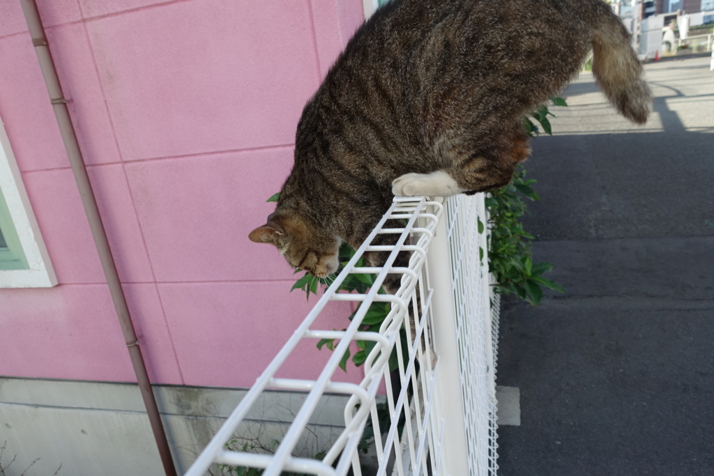 f:id:shigeo-t:20180712090424j:plain f:id:shigeo-t:20180712090424j:plain