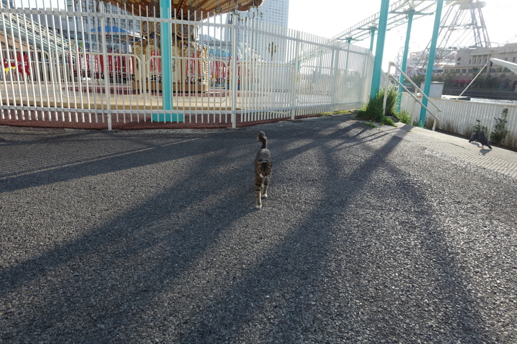 f:id:shigeo-t:20180712090709j:plain f:id:shigeo-t:20180712090709j:plain