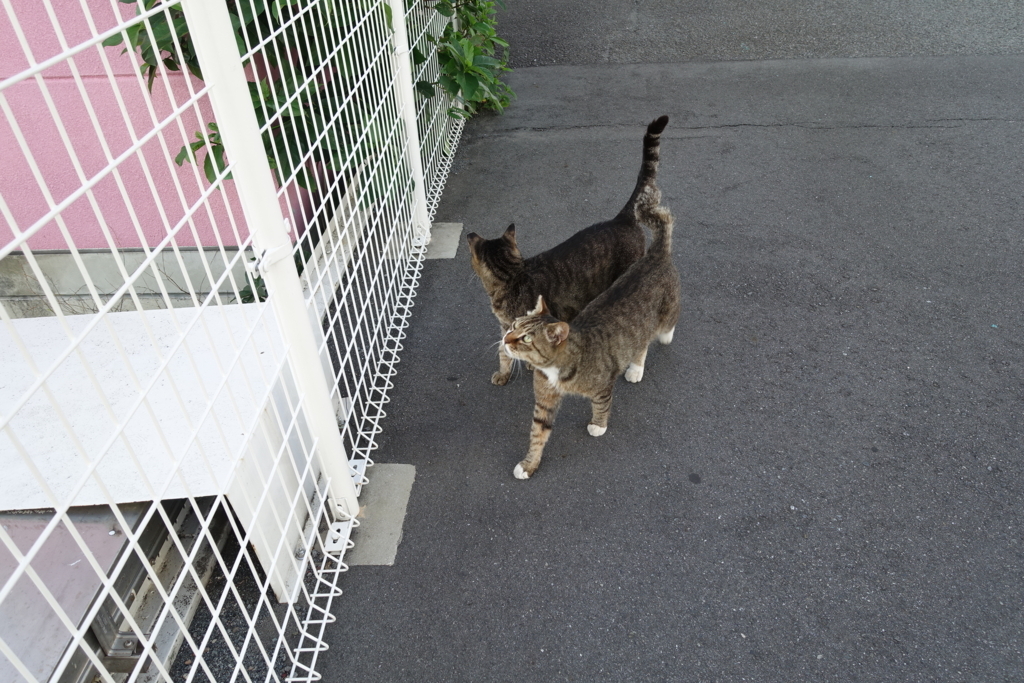 f:id:shigeo-t:20180712091502j:plain f:id:shigeo-t:20180712091502j:plain