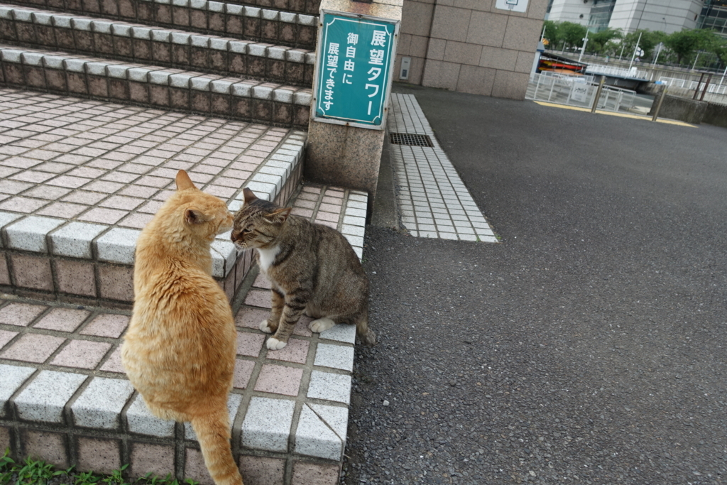 f:id:shigeo-t:20180712093022j:plain f:id:shigeo-t:20180712093022j:plain