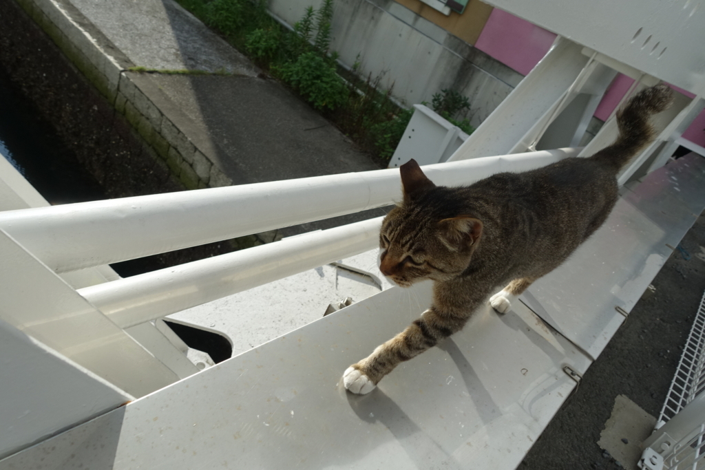 f:id:shigeo-t:20180716095510j:plain