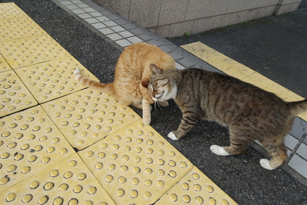 f:id:shigeo-t:20180716100845j:plain